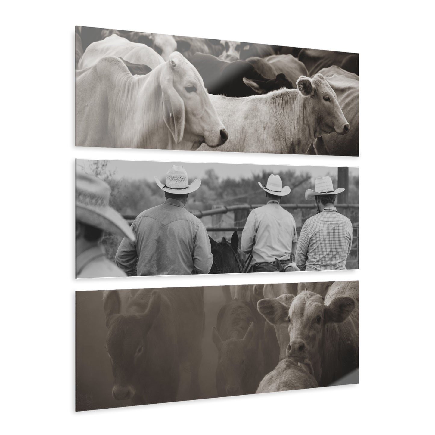 Texas Ranch Acrylic Prints (Triptych)
